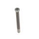 Tornillo Mangueta HST 10x90 mm (OK-Neos)