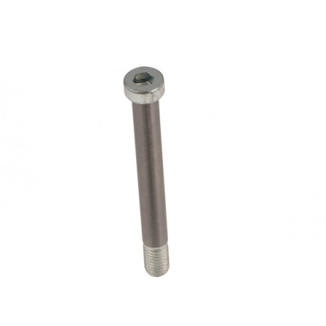 Tornillo Mangueta HST 10x90 mm (OK-Neos)