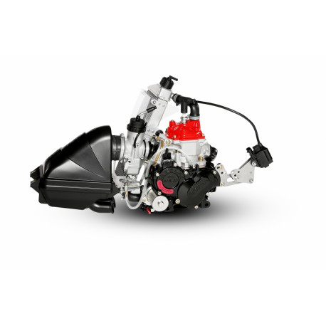 Motor ROTAX Mini Max Evo