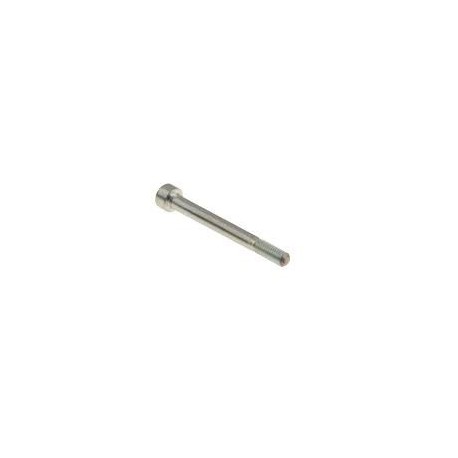 Tornillo Mangueta BST 8x90 mm