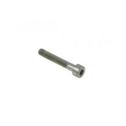 Tornillo Pinza Freno BSM