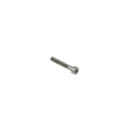 Tornillo Pinza Freno BSM