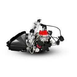 Motor ROTAX MAX Evo