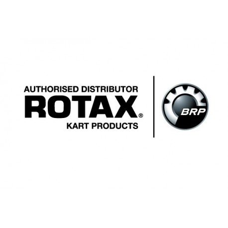 ROTAX - Cambio Pistón y Biela